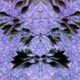 Illustration for article titled 10 Vivid Rorschach Tests, Made By Camera